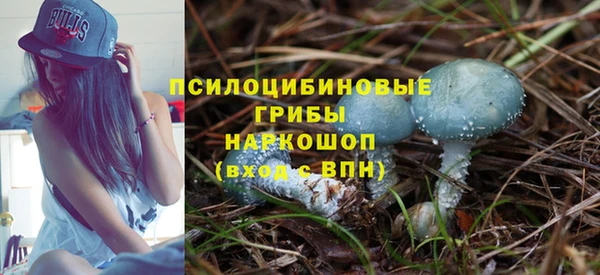 бошки Верхнеуральск
