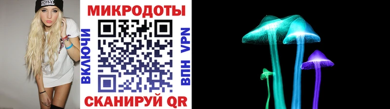 Галлюциногенные грибы Psilocybe  Купить  Фокино 